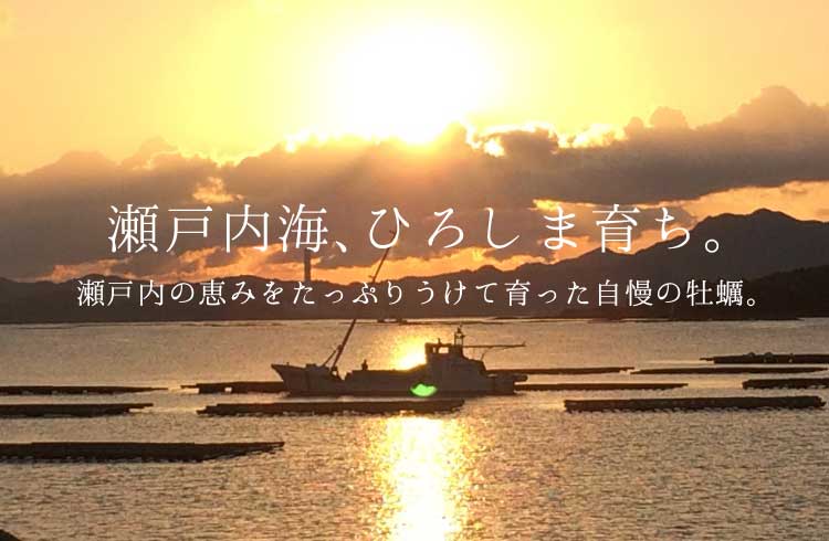 瀬戸内海、ひろしま育ち。瀬戸内の恵みをたっぷりうけて育った自慢の牡蠣。