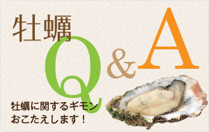 牡蠣Q＆A